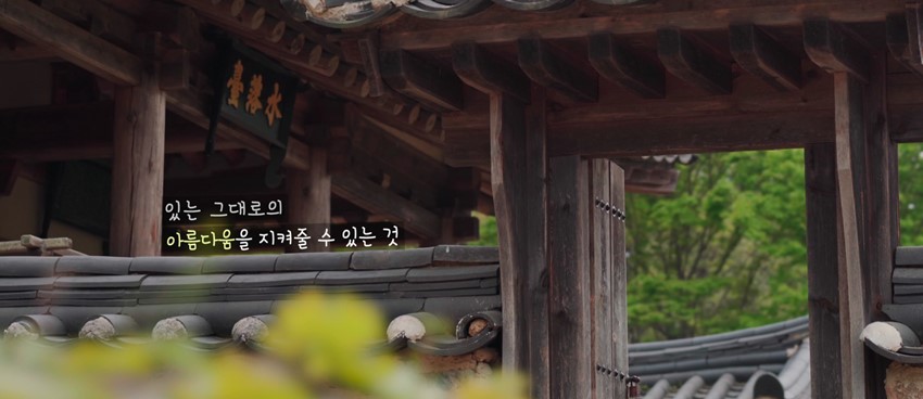 4.꽃, 세상이 열린다